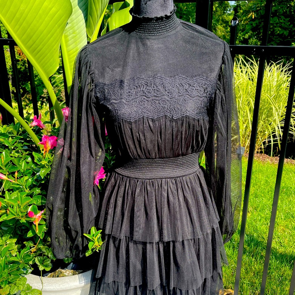 Black mesh dress